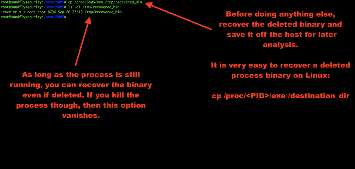 Recovering Deleted Malware Process Binary on Linux