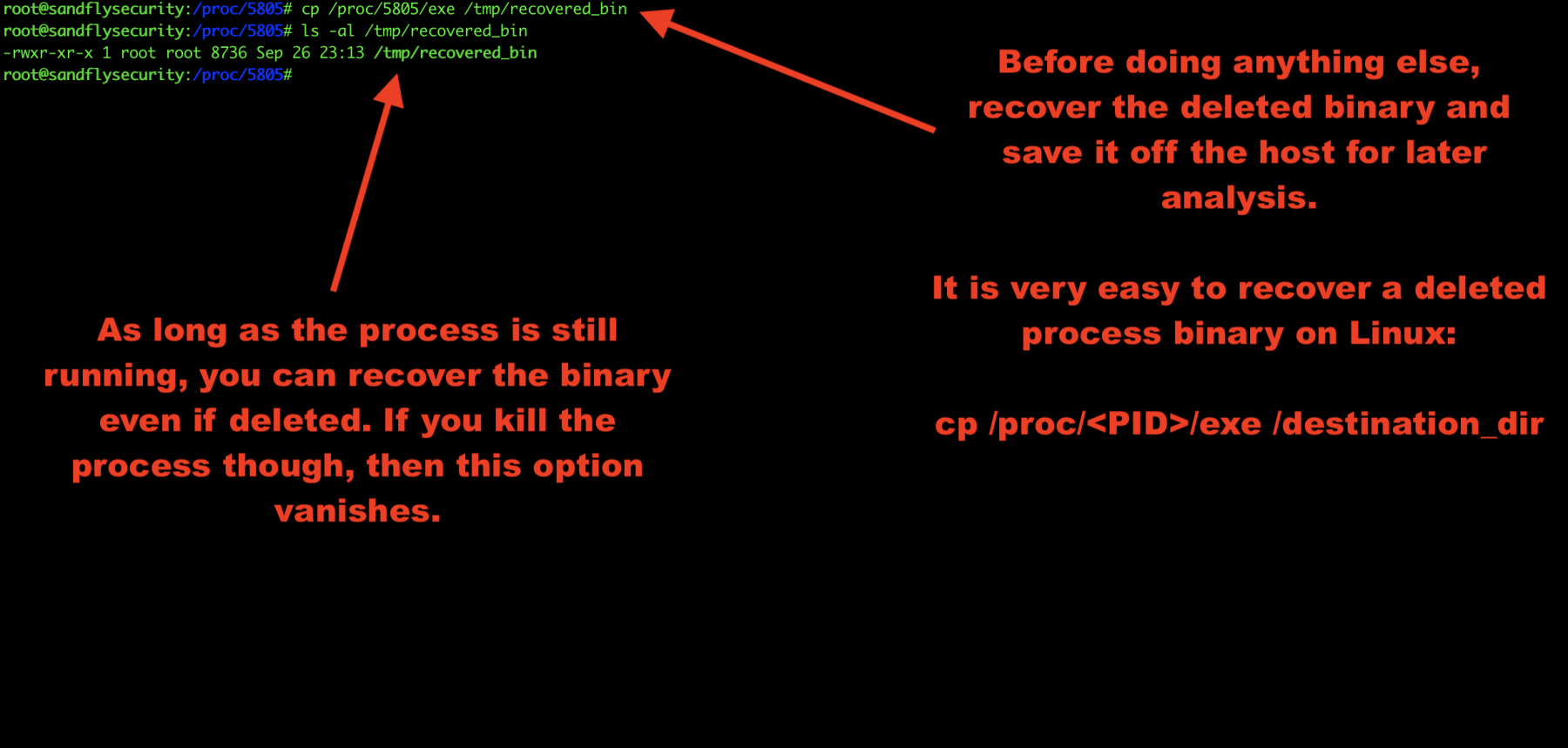 Recovering Deleted Malware Process Binary on Linux