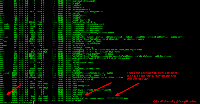 Linux openssl backdoor process listing.