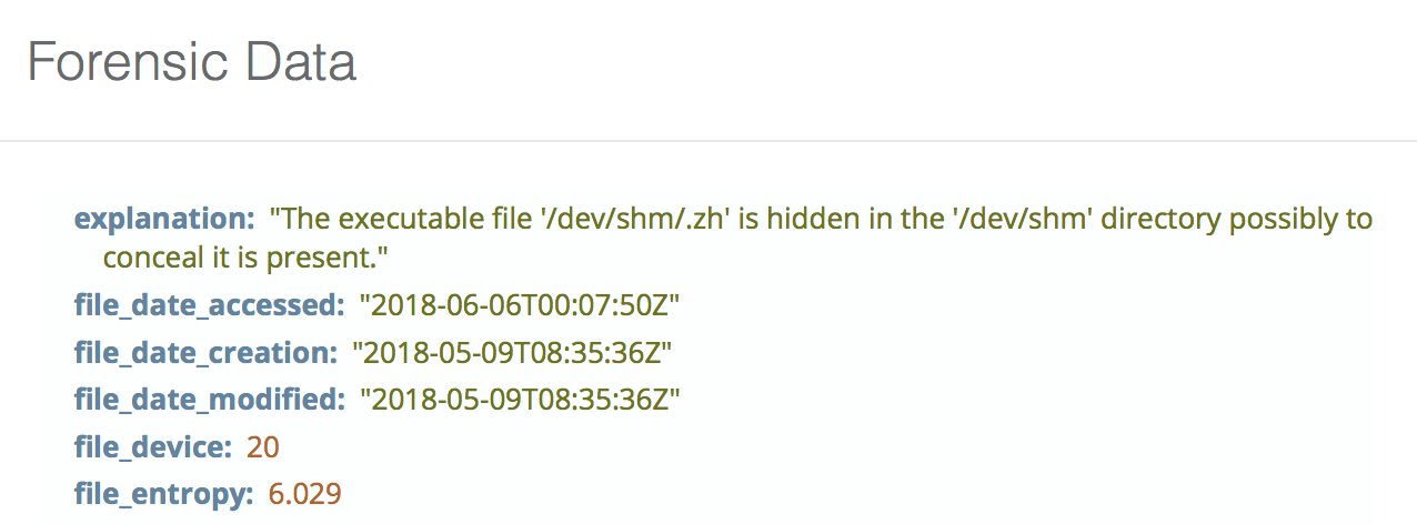 Hidden executable binary checks example