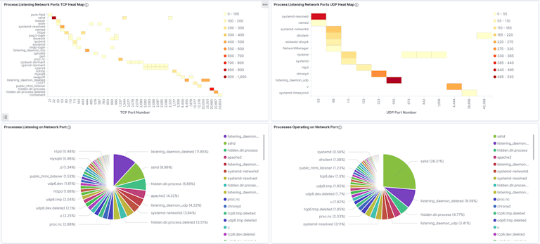 Sandfly’s Linux process graphs in Kibana quickly show you what is running.