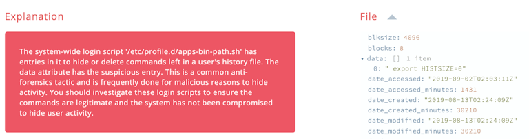 Antiforensics system wide example