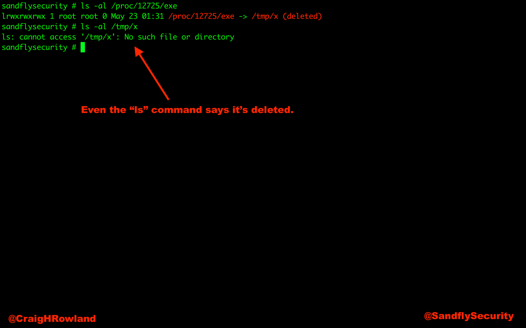 Linux Forensics Deleted Binary Listing