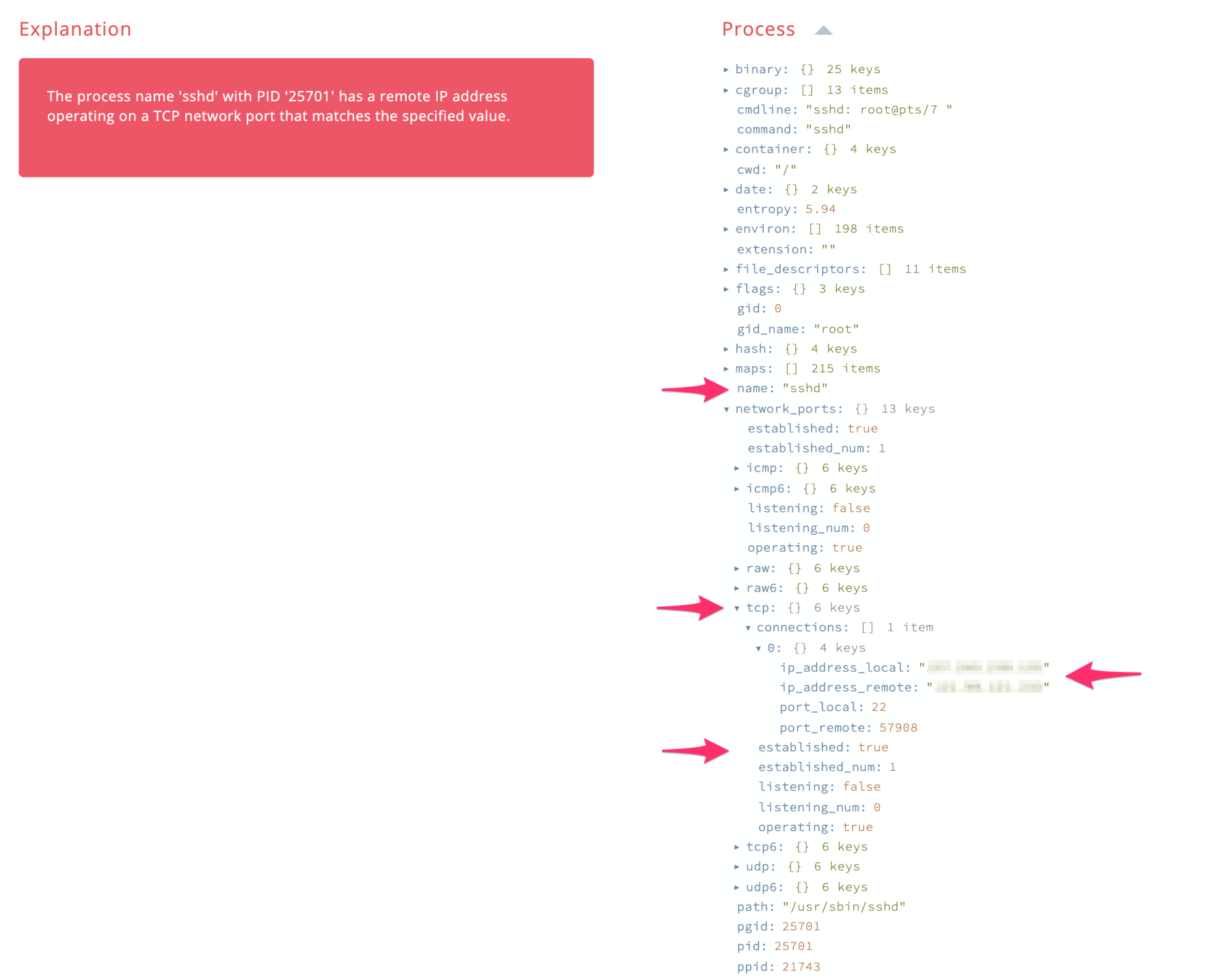 Process With Remote TCP Connection
