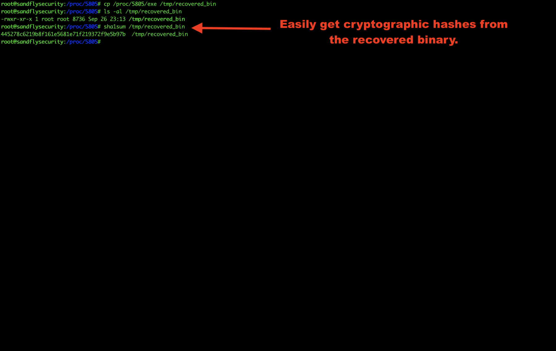 Getting Linux Malware Cryptographic Hash