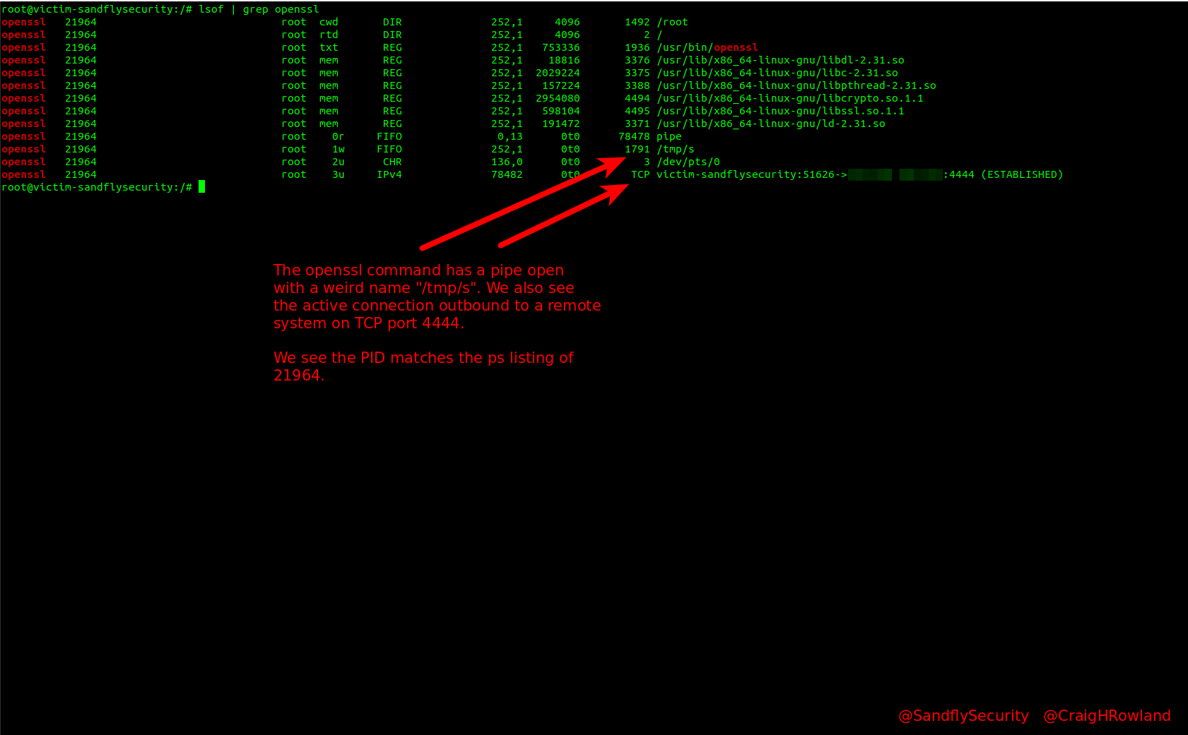 Using lsof to find backdoor network connection on Linux.