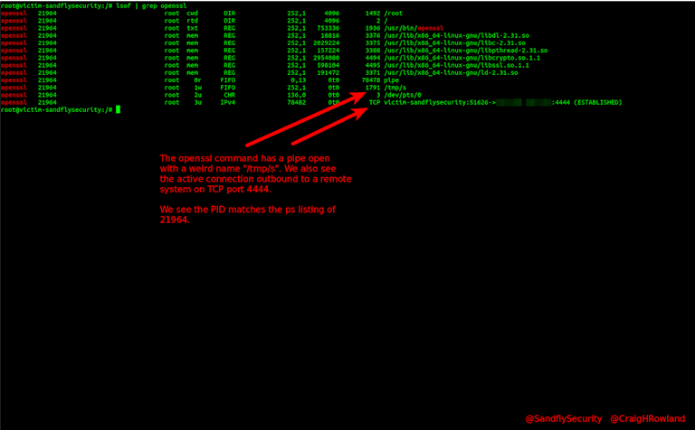 Using lsof to find backdoor network connection on Linux.