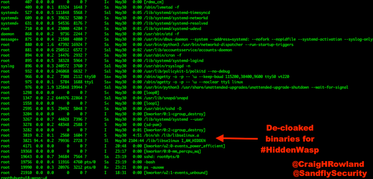 HiddenWasp – Decloaked Processes