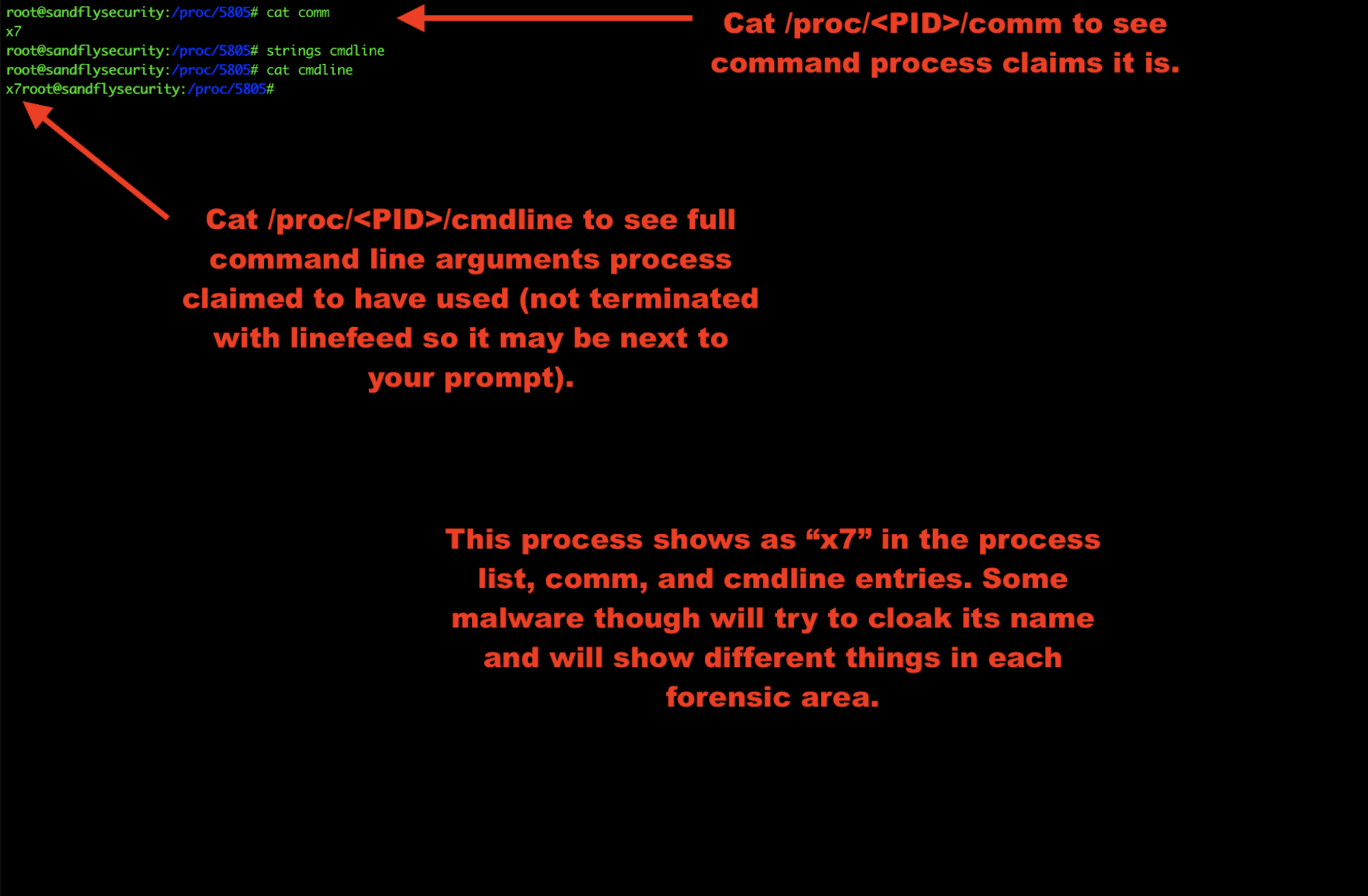 Coomand Line Ransomware Basic Linux Malware Process Forensics for Incident Responders