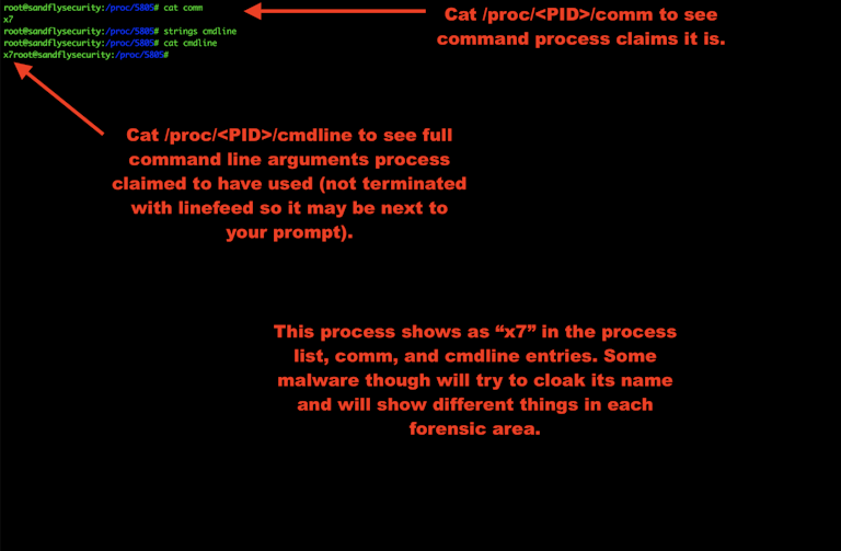 Getting Linux Malware Command Line
