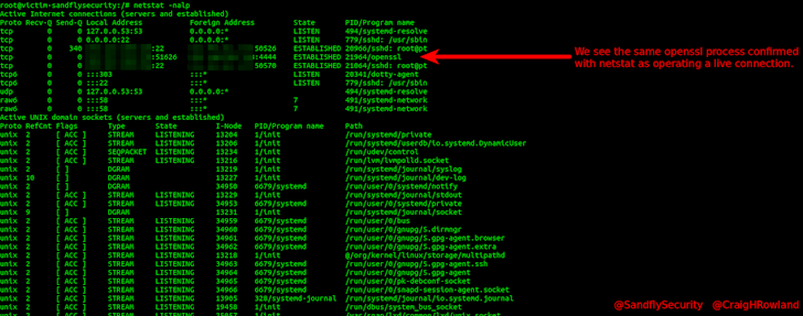 Linux netstat command confirms backdoor operating.
