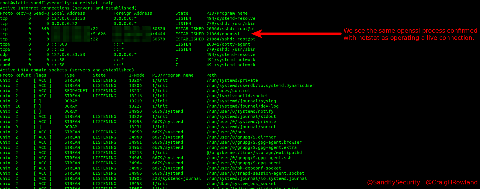 Linux netstat command confirms backdoor operating.