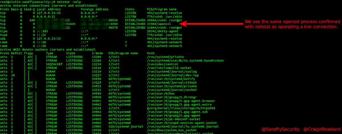 Detecting and Investigating OpenSSL Backdoors on Linux