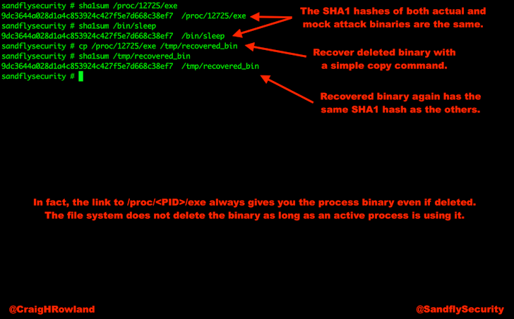 Linux Forensics Deleted Process Binary Recovery