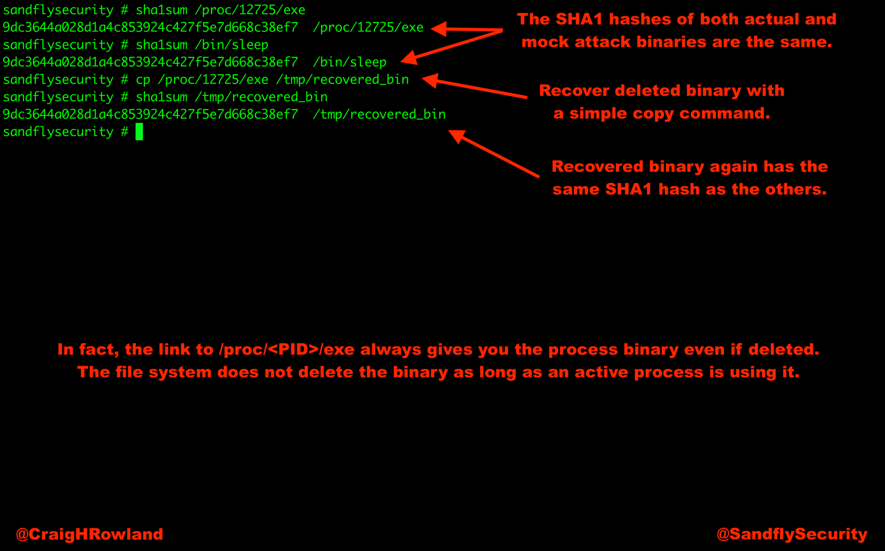 Linux Forensics Deleted Process Binary Recovery