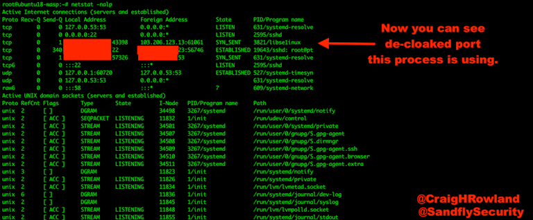 HiddenWasp – Decloaked Ports