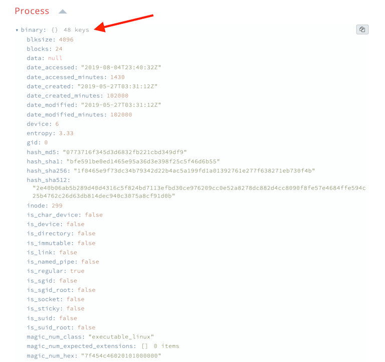Linux Process Forensics Expanded