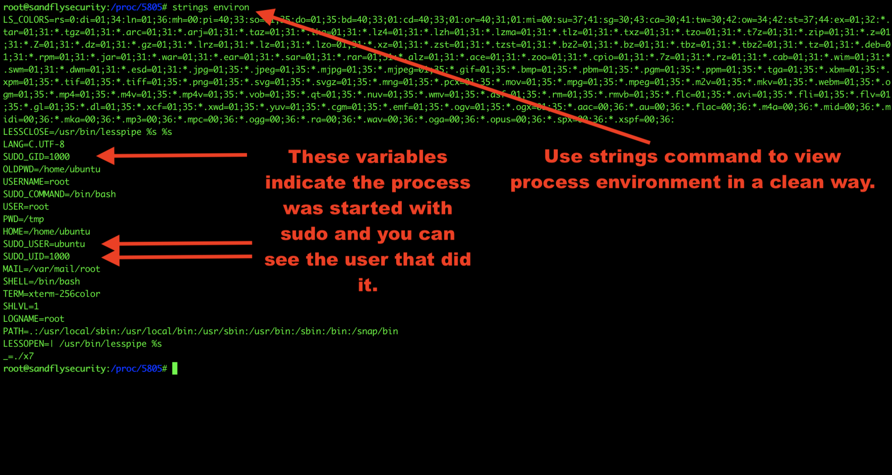 Obtaining Linux Malware Process Environment