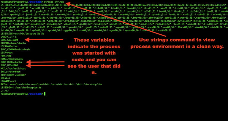 Obtaining Linux Malware Process Environment