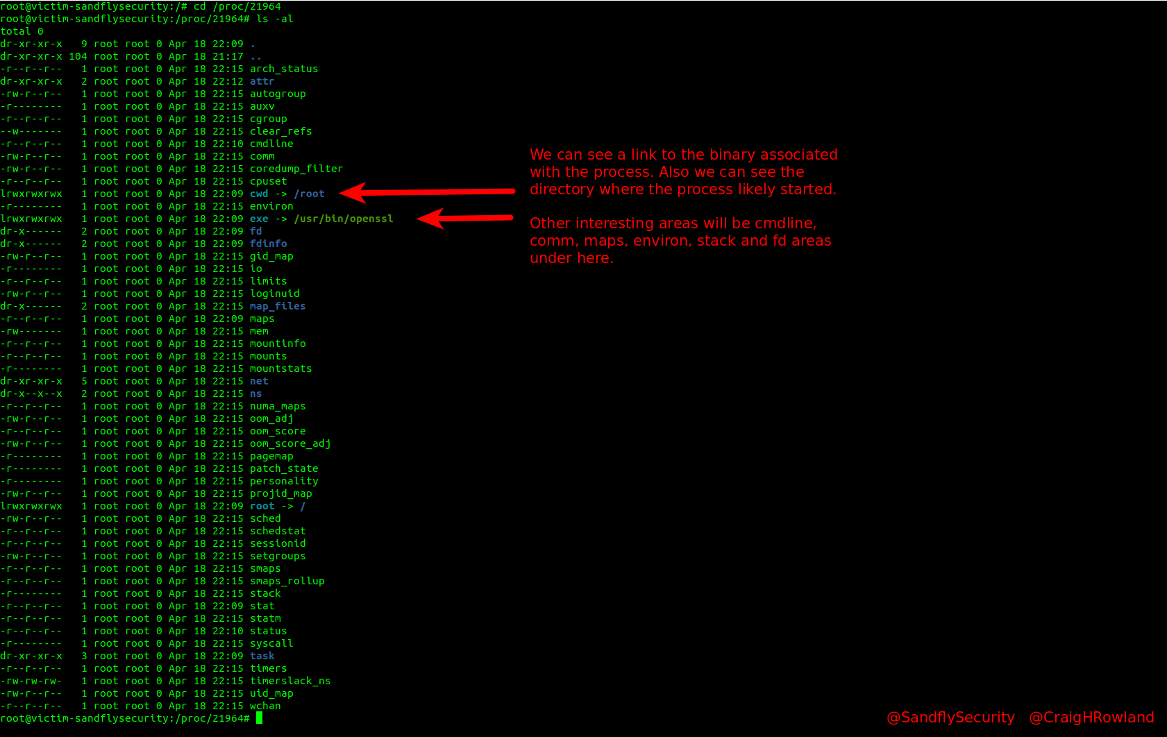 Linux /proc directory process forensic investigation.