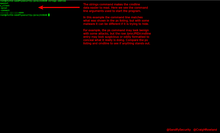 Using strings command to investigate a suspicious Linux process.