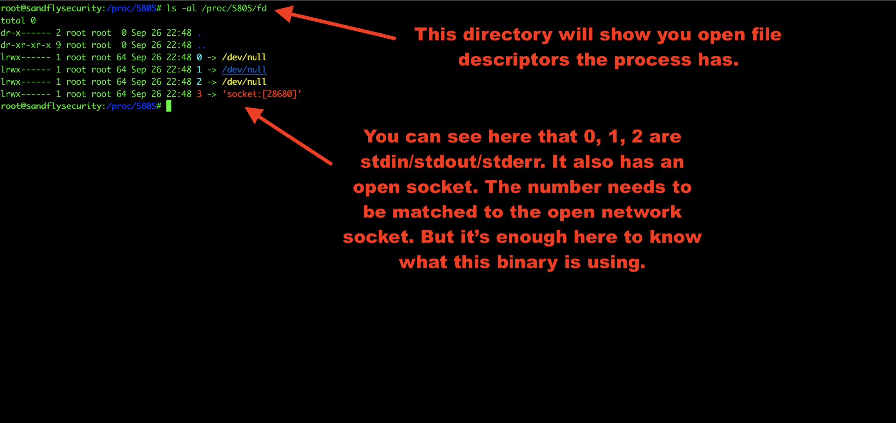 Linux Malware Open File Descriptors