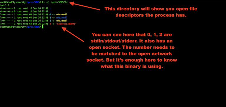 Linux Malware Open File Descriptors