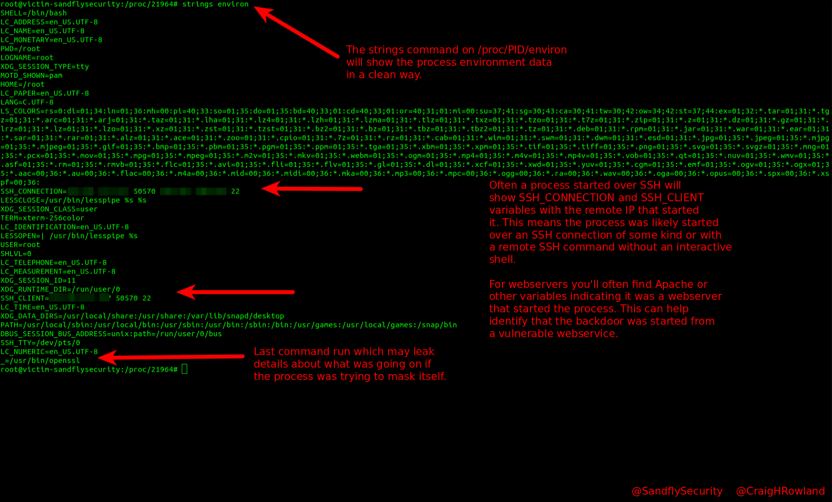 Investigating a Linux process environment.