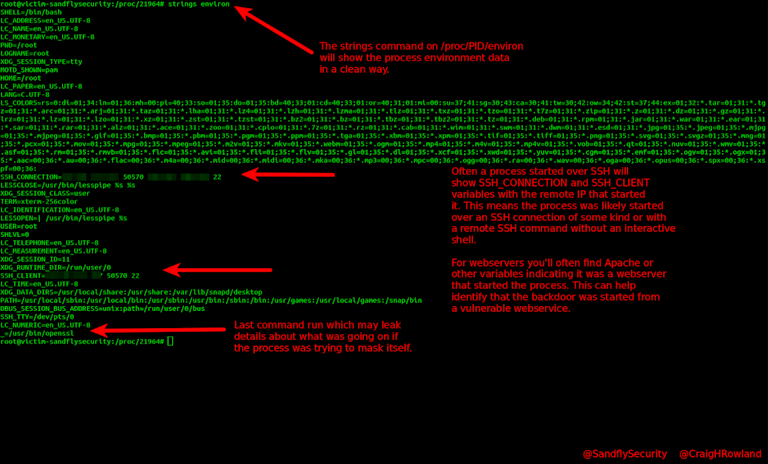 Investigating a Linux process environment.