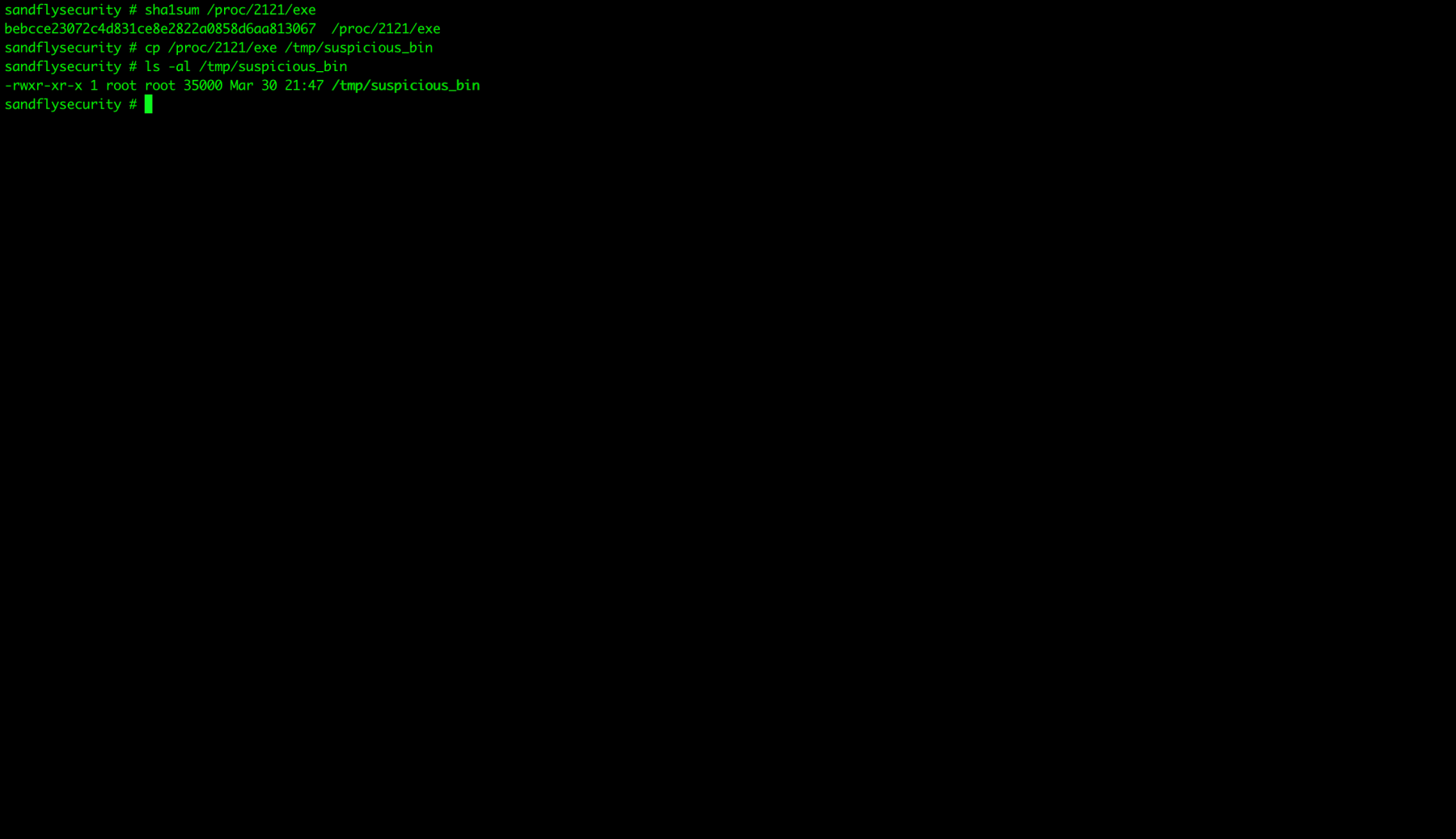 Recovering Suspicious Linux Malware Binary