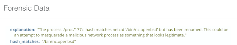 Linux netcat process masquerading as something else.