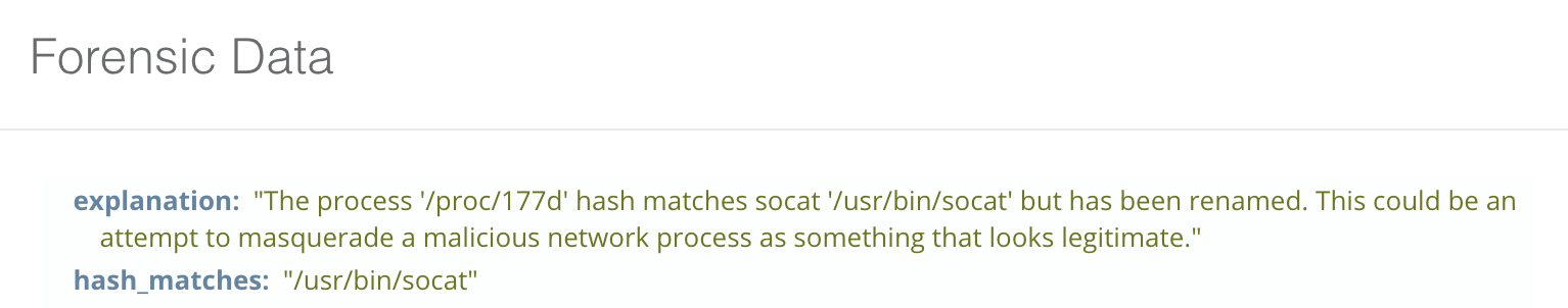 Linux socat process masquerading.