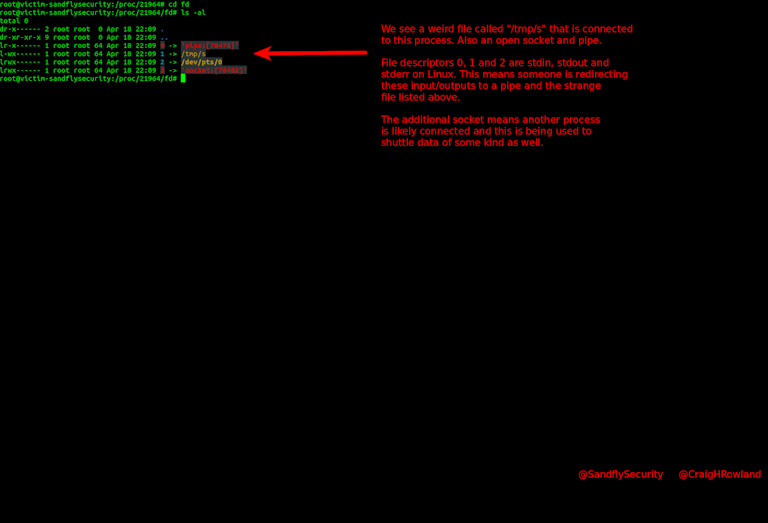 Investigating Linux compromise suspicious file descriptors.