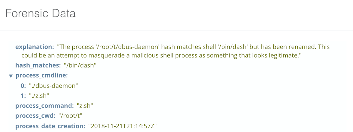 Sandfly detects a Linux shell masquerading as dbus-daemon running a malicious script.