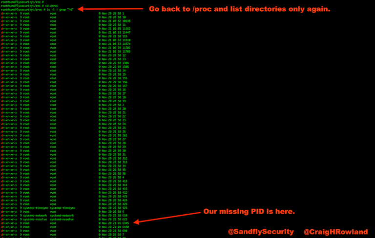 De-cloaked /proc Directory Listing