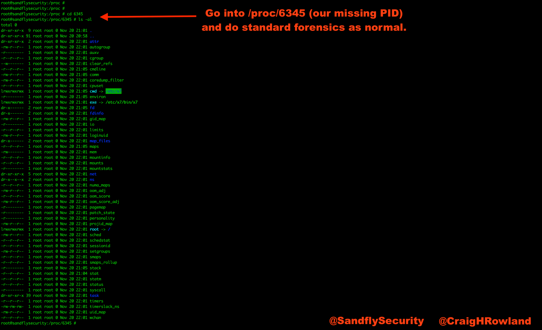 De-cloaked Process Forensics