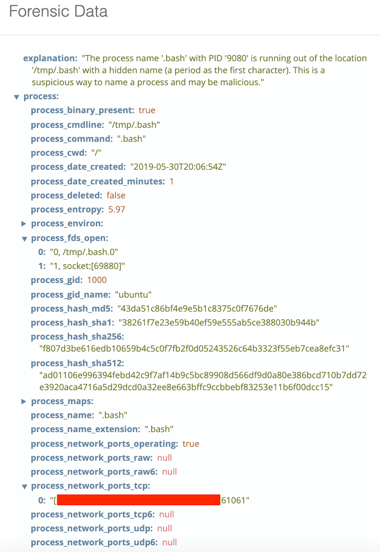Sandfly HiddenWasp Stealth Rootkit Detection 7