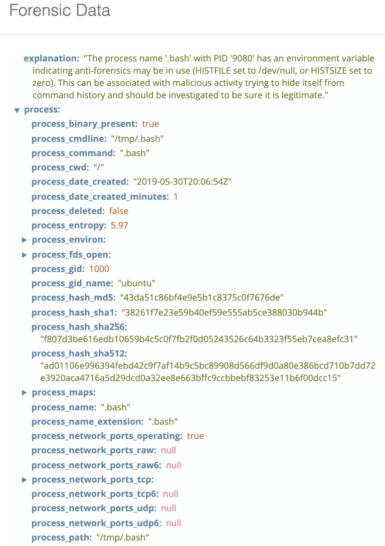 Sandfly HiddenWasp Stealth Rootkit Detection 8