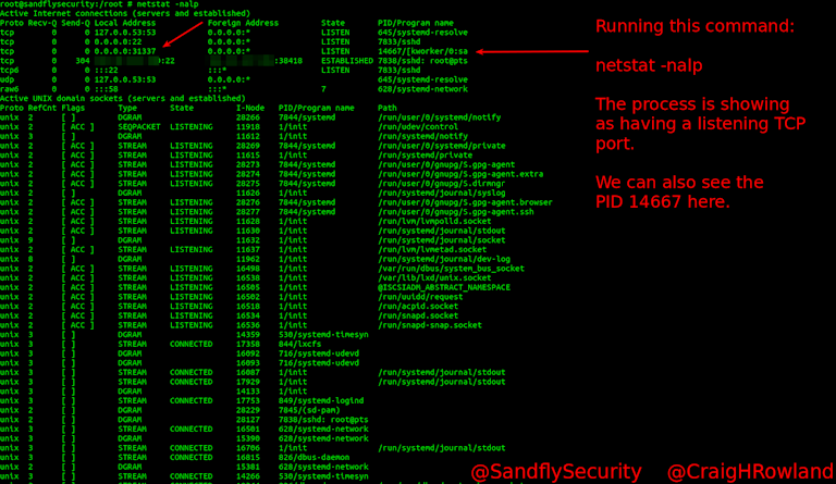 Fileless Linux Attack Shown in netstat Listing
