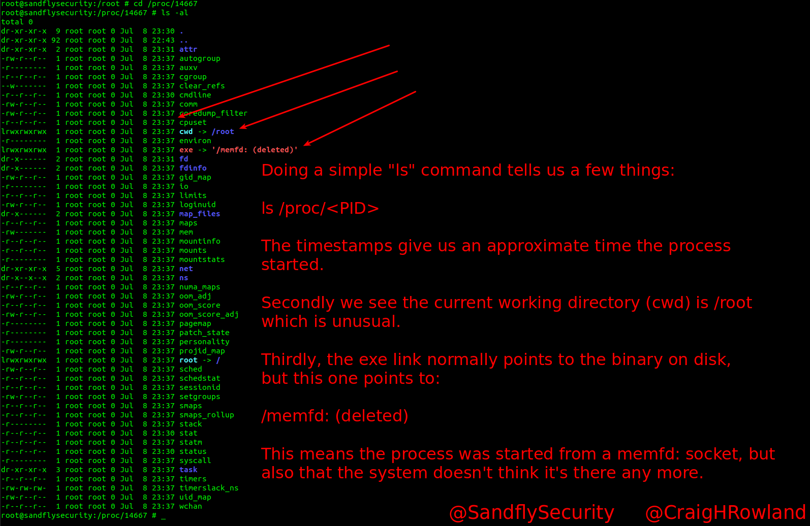 Investigating a Malicious Linux Process with /proc Directory Listing
