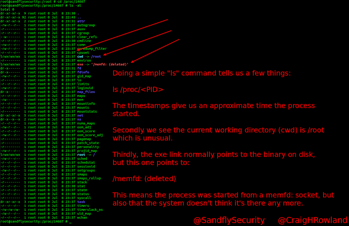 Investigating a Malicious Linux Process with /proc Directory Listing