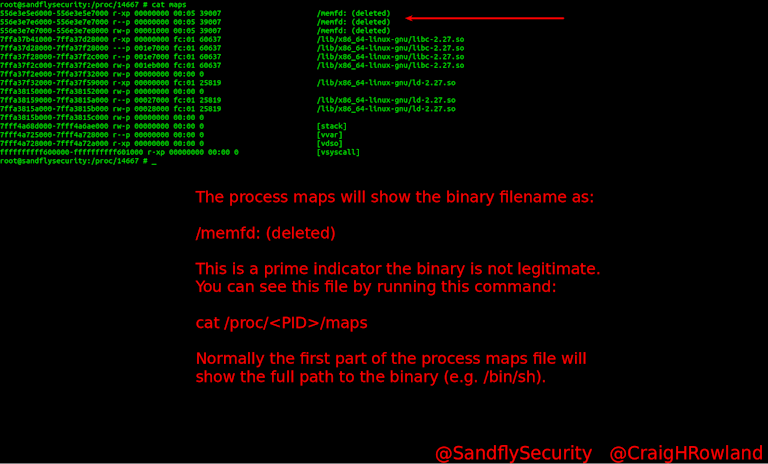 Investigating Process Maps for Fileless Linux Malware