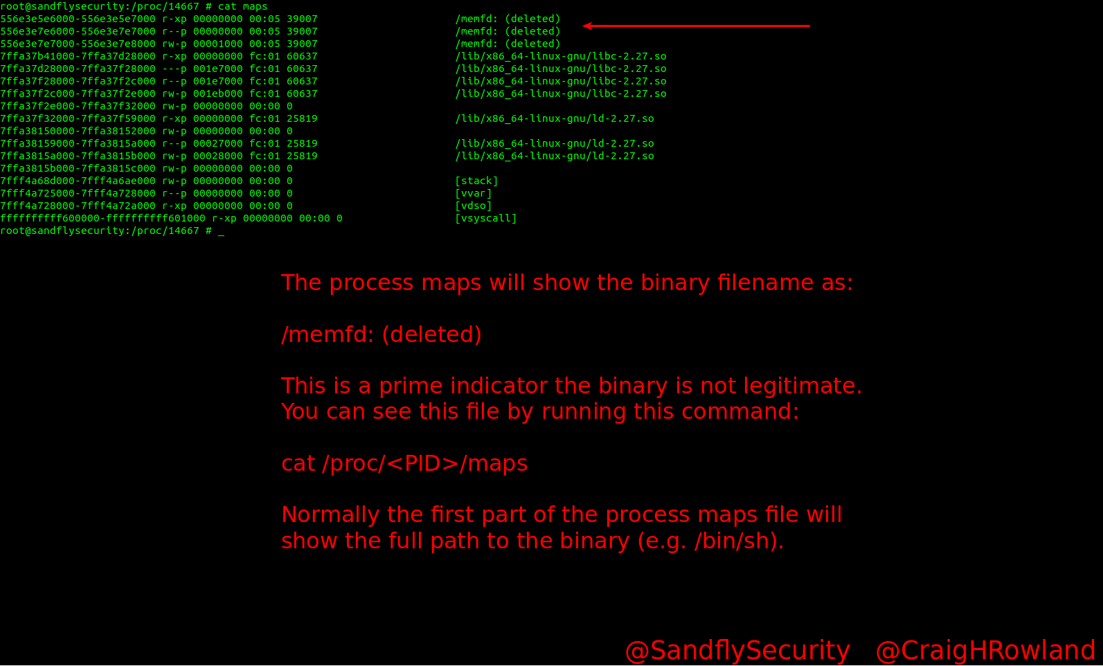 Investigating Process Maps for Fileless Linux Malware