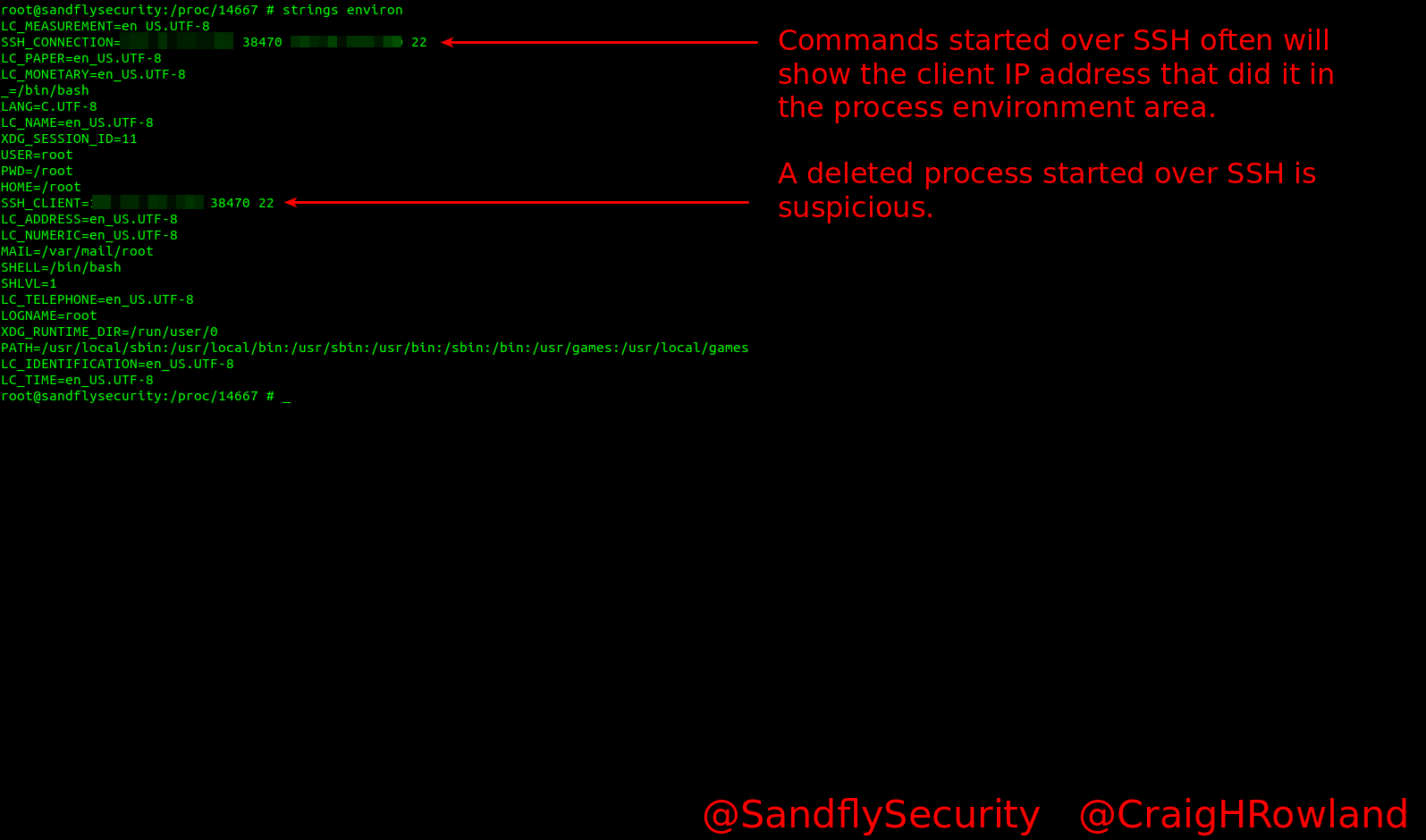 Investigating Linux Process Environments of Malware