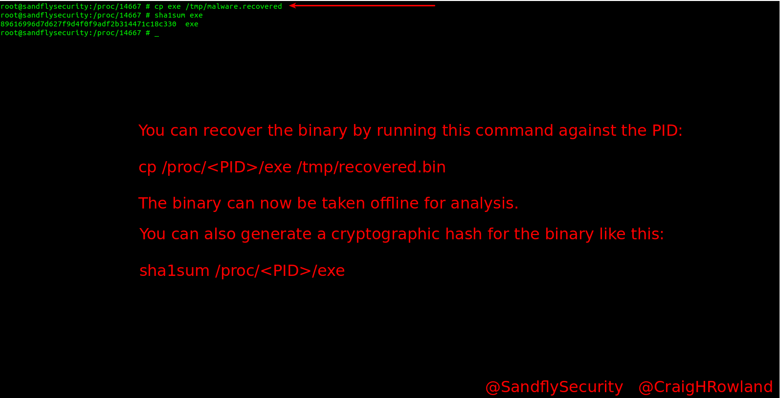 Sandfly Detecting Fileless Linux Malware