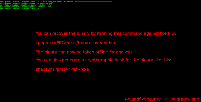 Sandfly Detecting Fileless Linux Malware