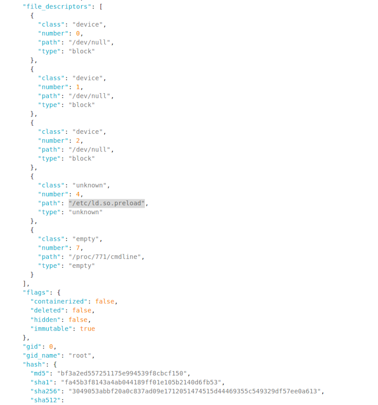 Sandfly Forensic Data Showing /etc/ld.so.preload File Descriptor