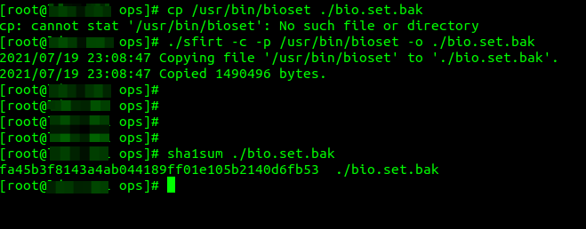 Malicious Binary Protects Itself from Copying