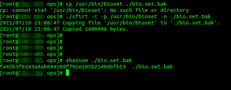Malicious Binary Protects Itself from Copying